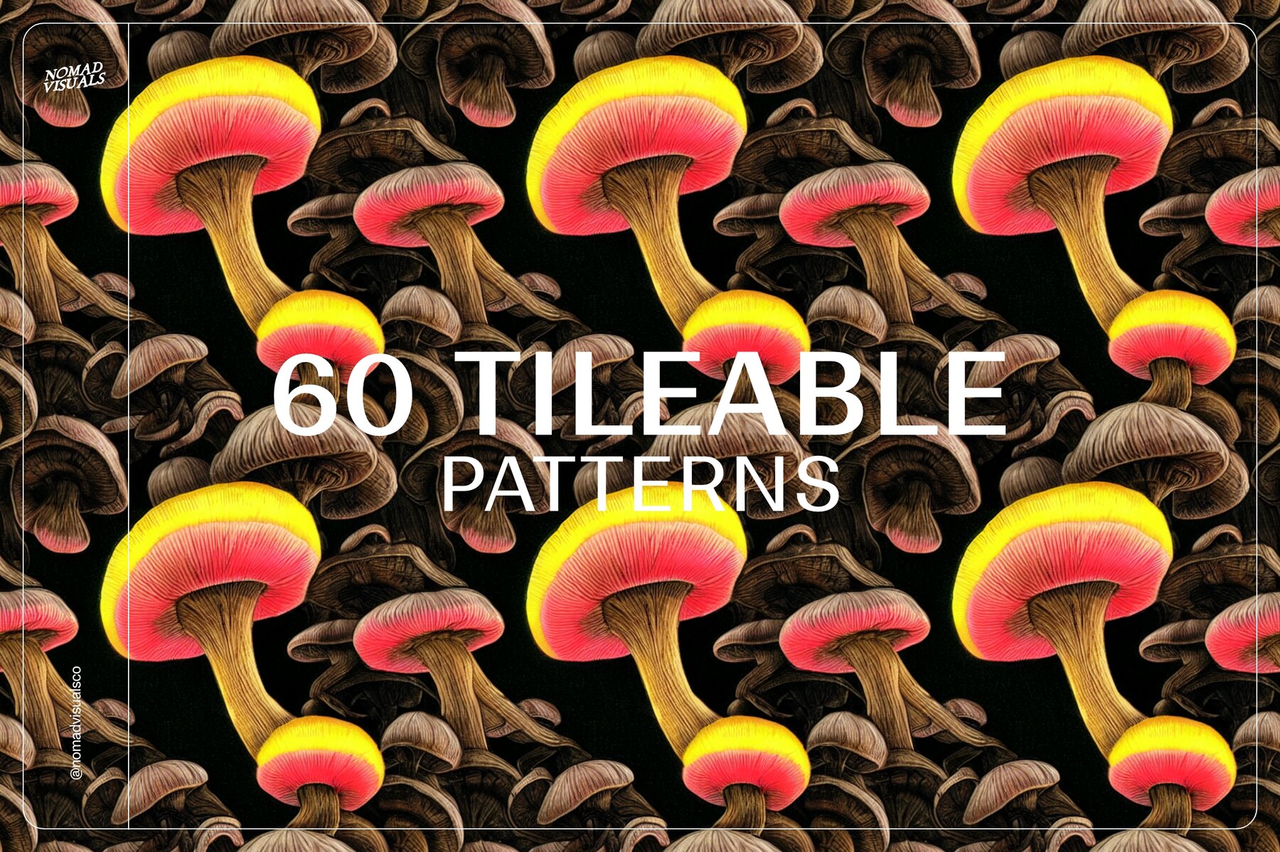 Mushrooms Illustrations 7