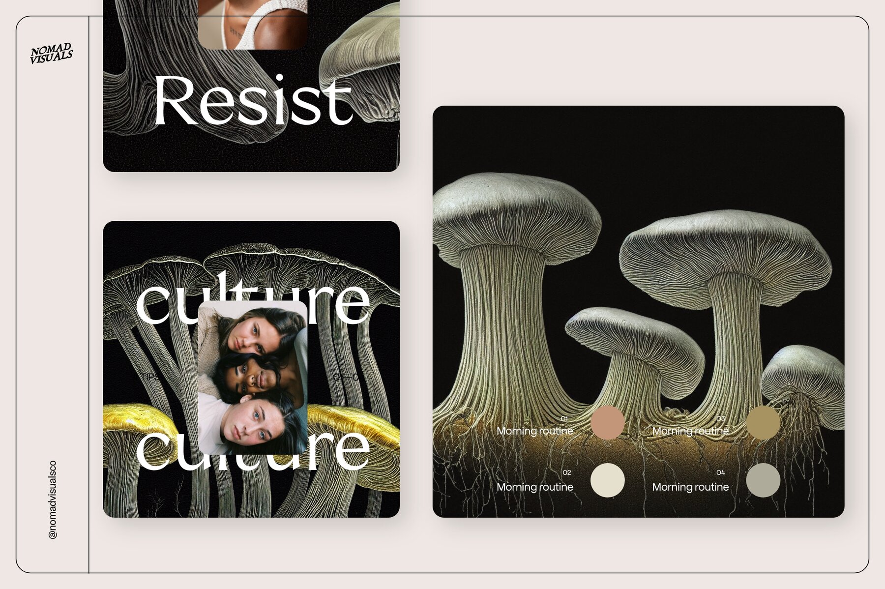 Mushrooms Illustrations 9