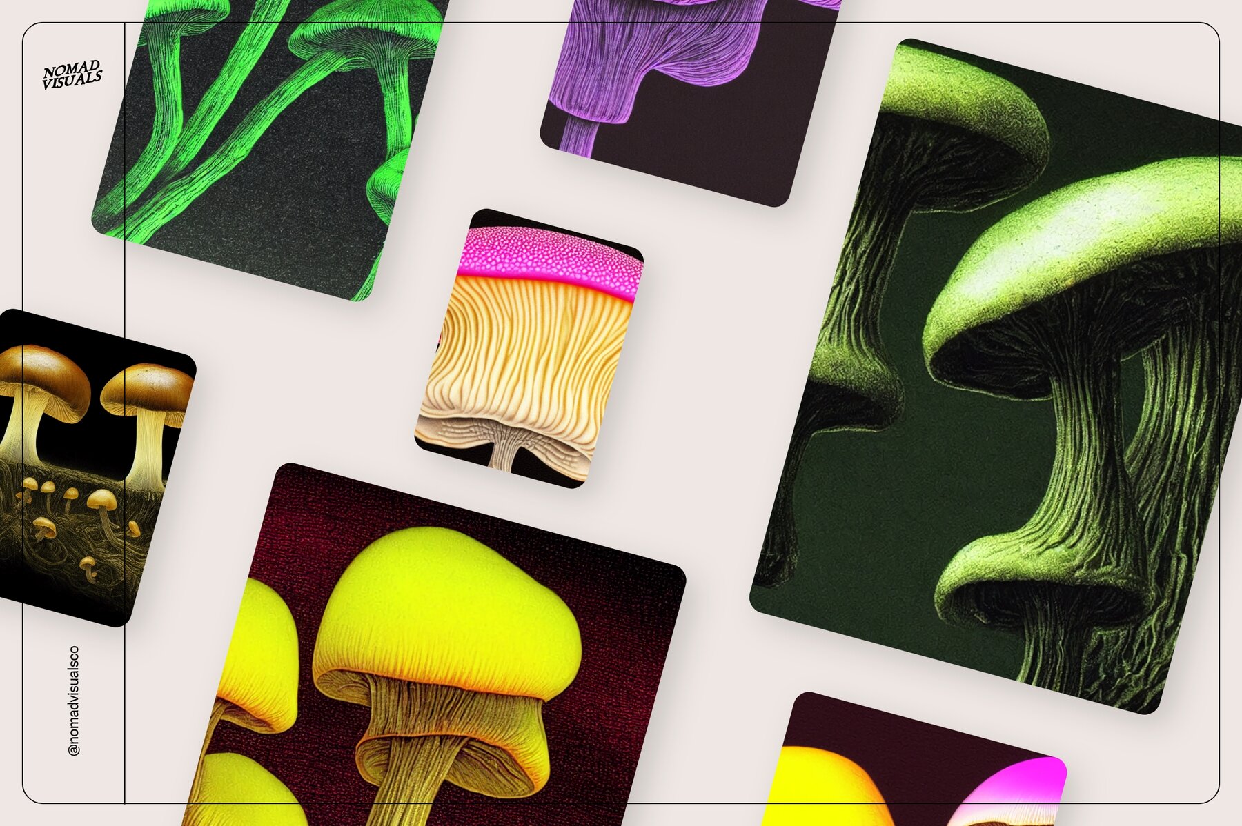 Mushrooms Illustrations 11
