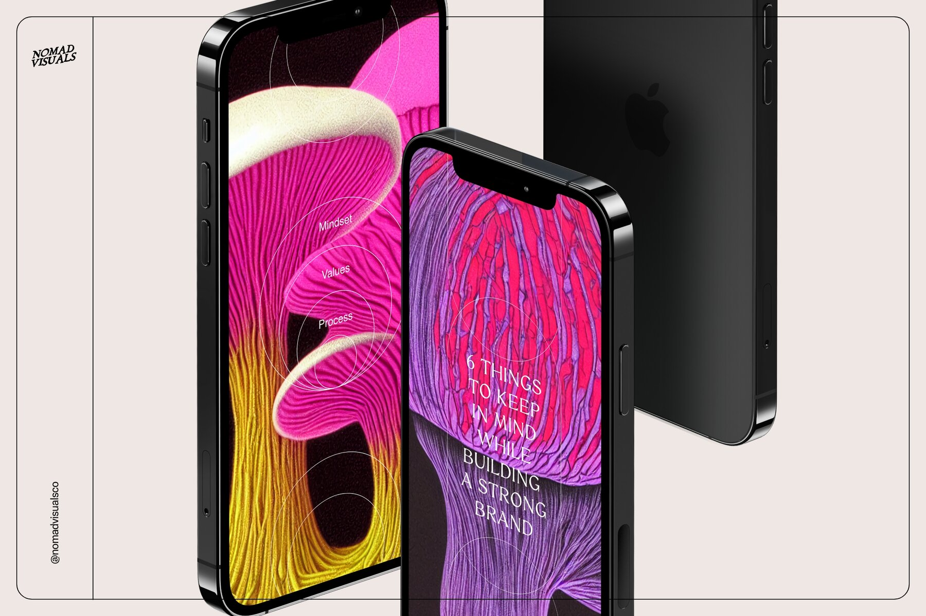 Mushrooms Illustrations 14