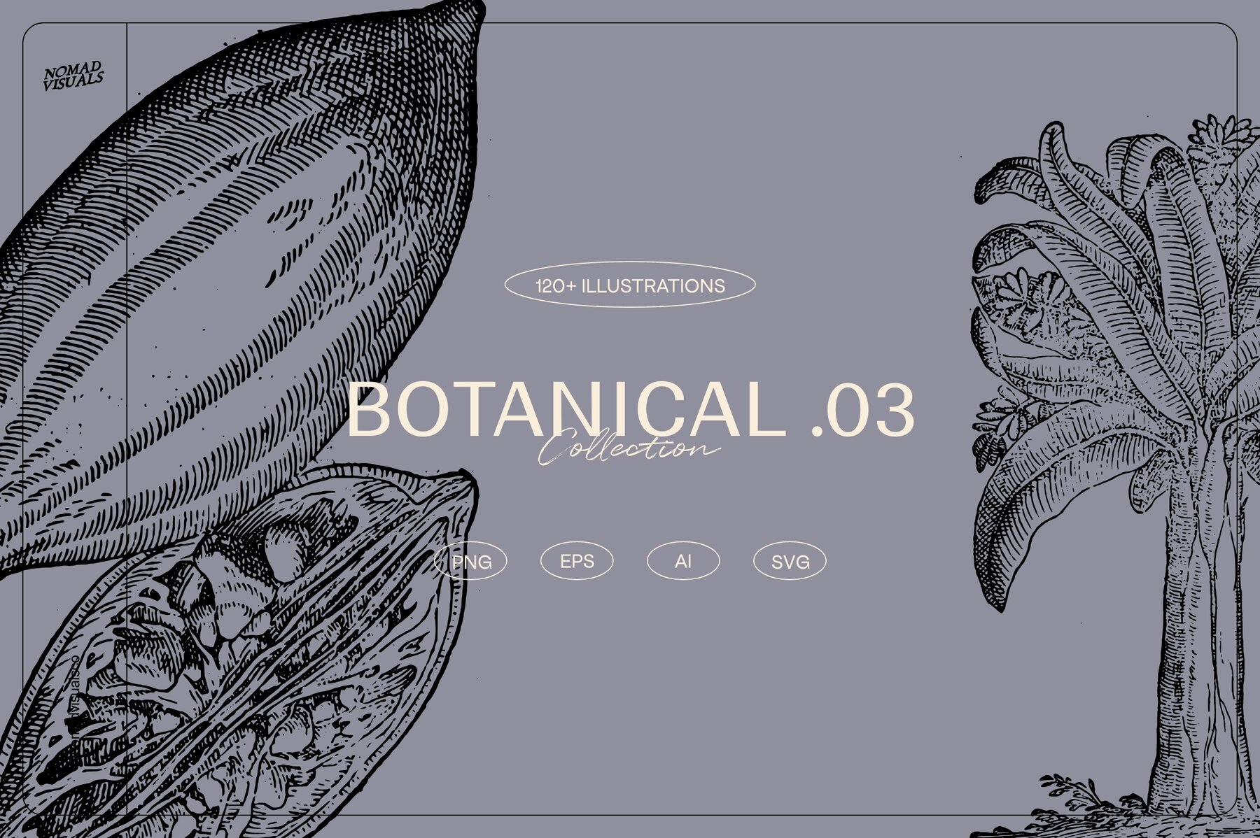 Botanical Collection 5