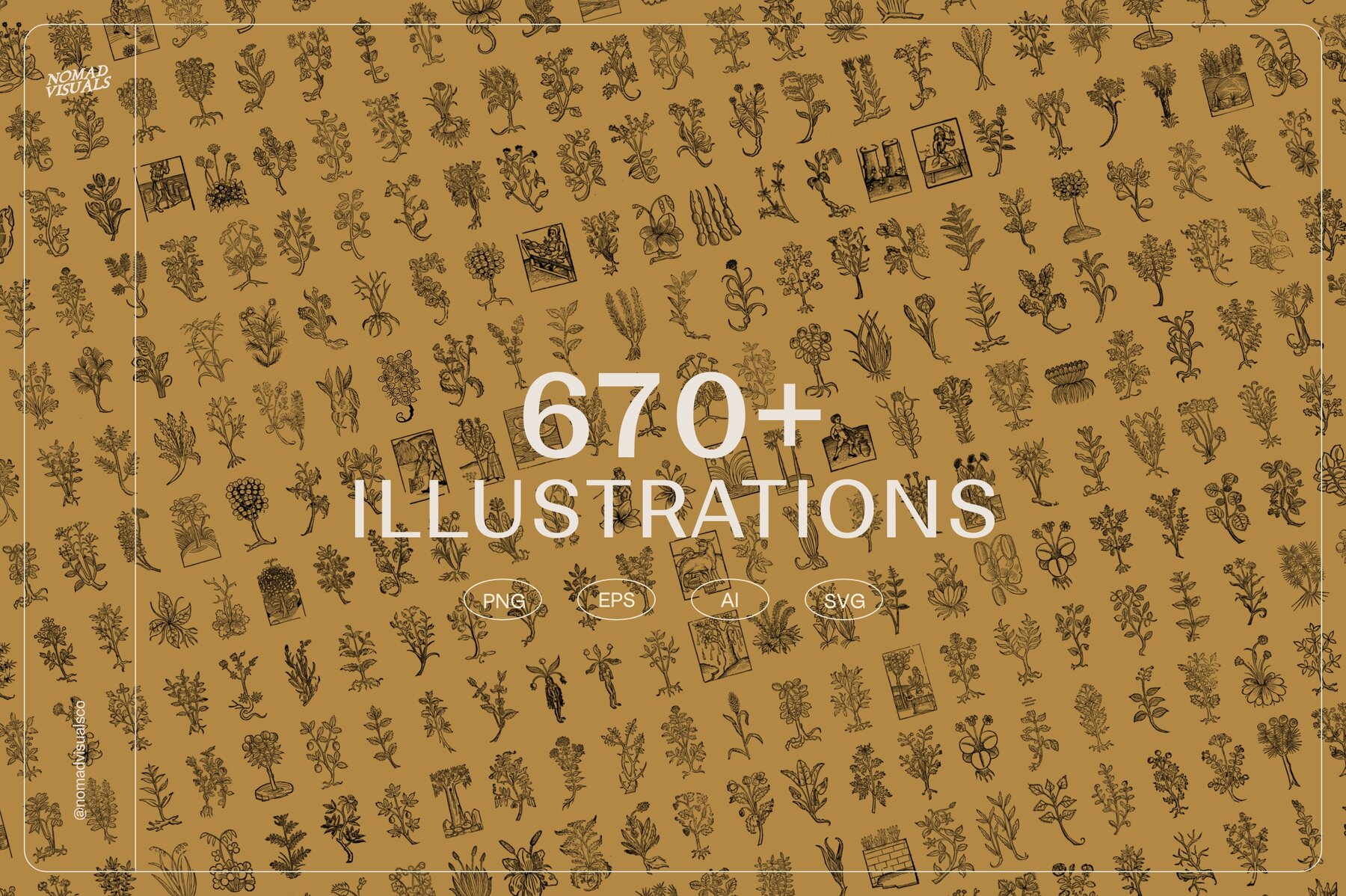 Botanical Collection 7