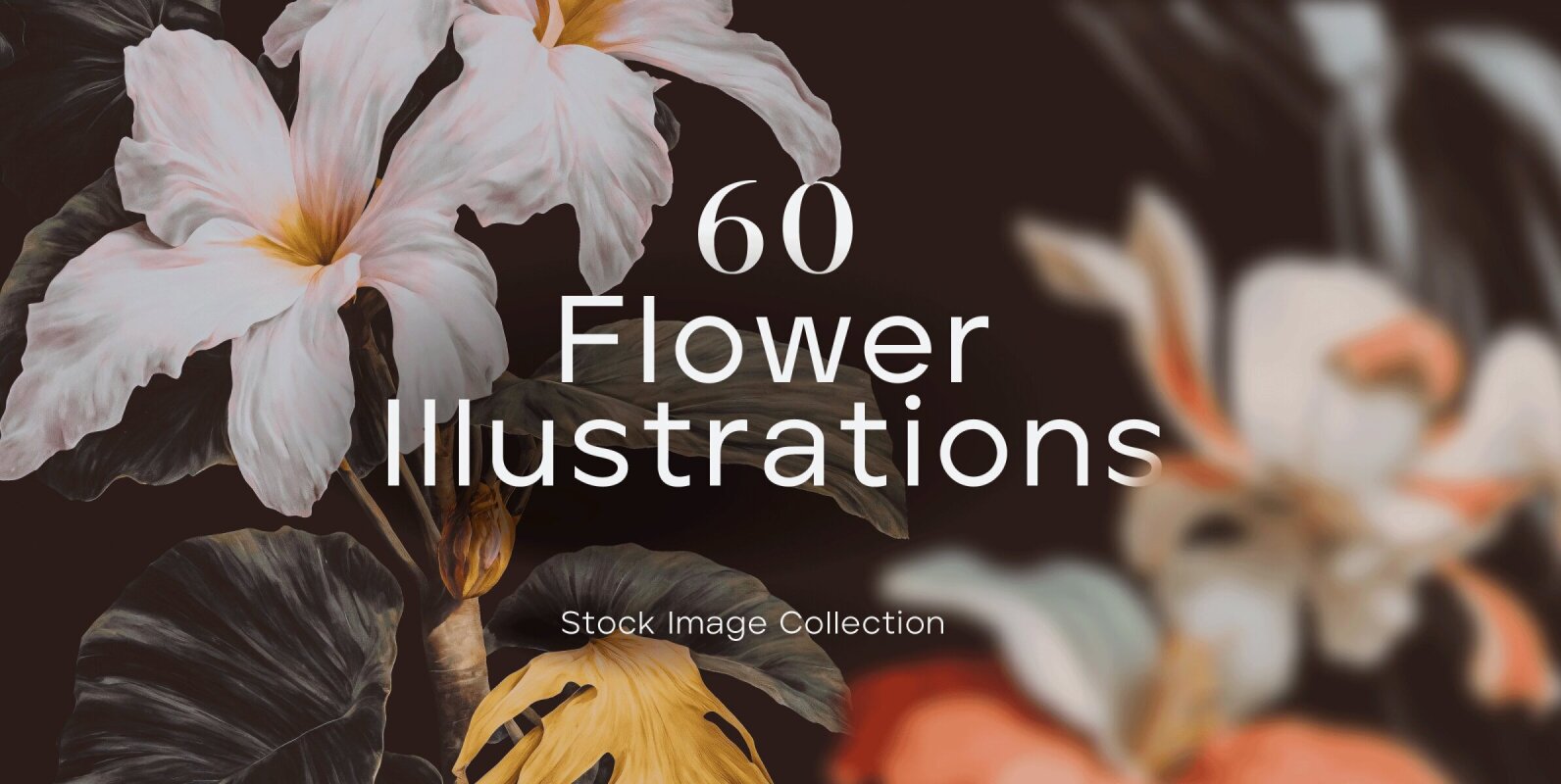 60 Flower Illustrations