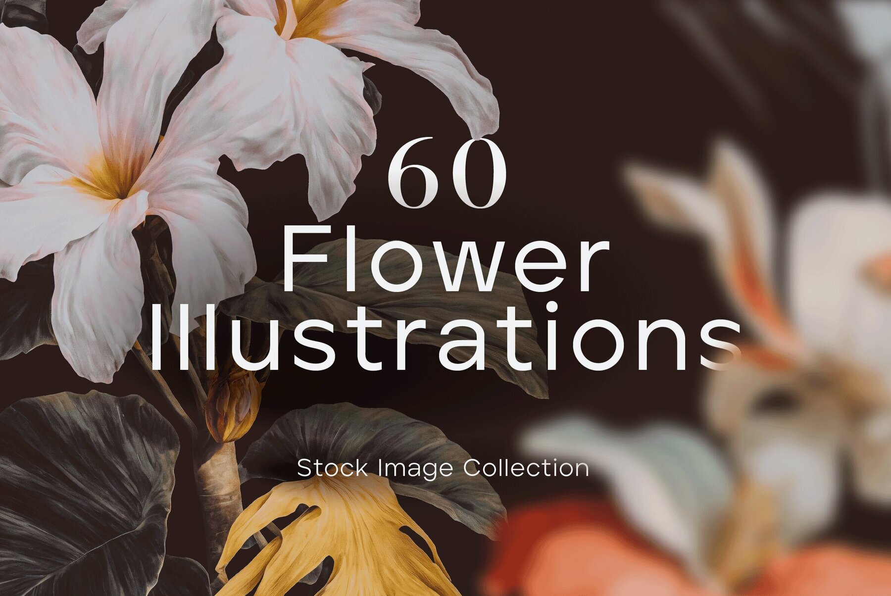 60 Flower Illustrations 1