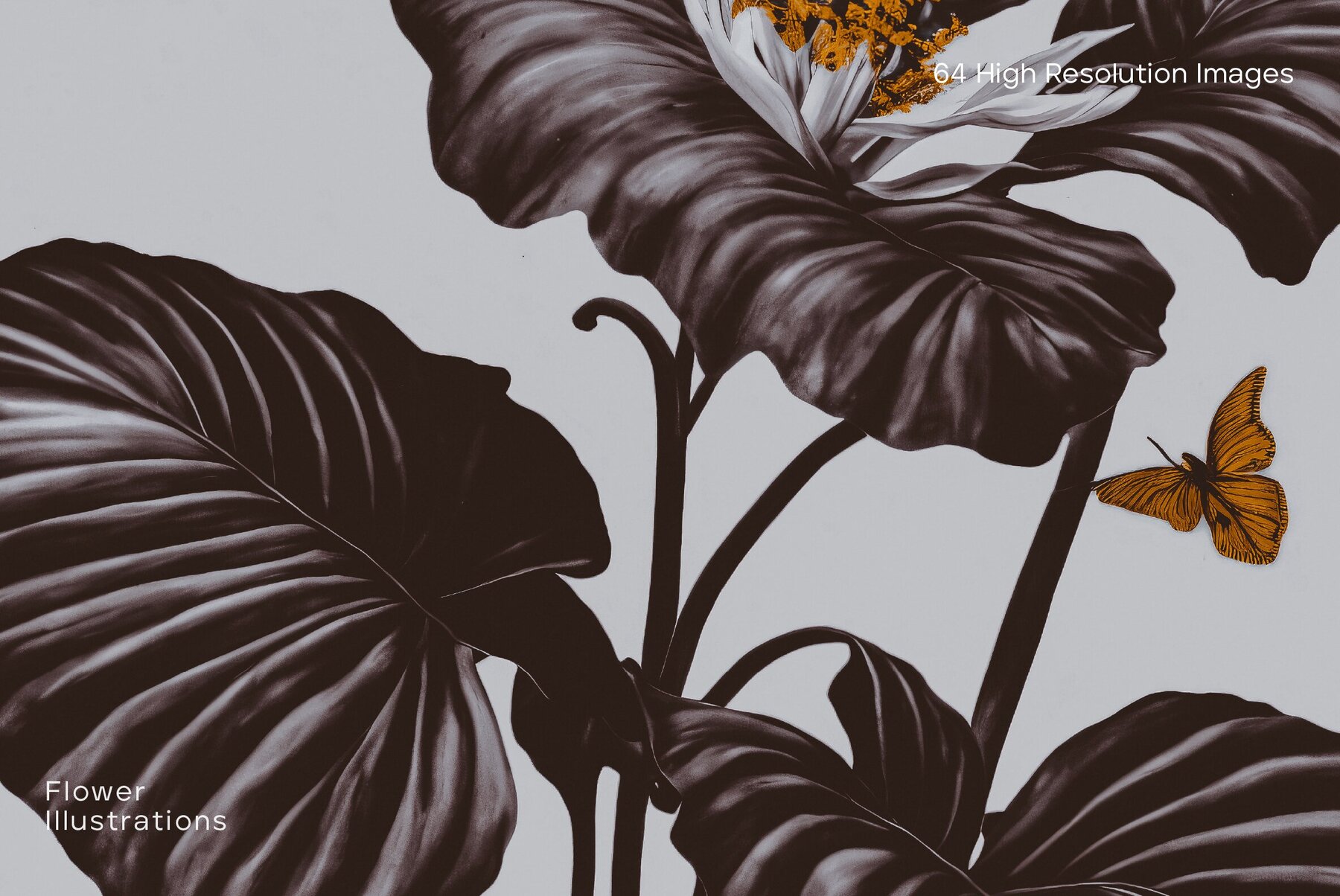 60 Flower Illustrations 8