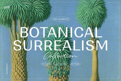 Botanical Surrealism