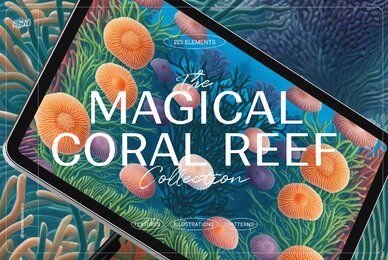 Magical Coral Reef