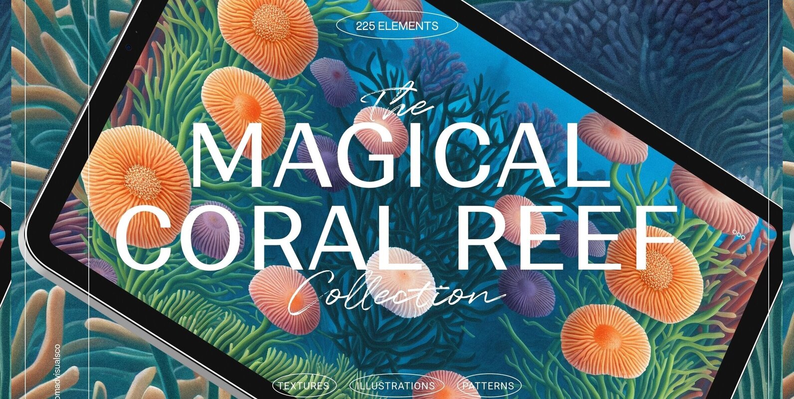 Magical Coral Reef