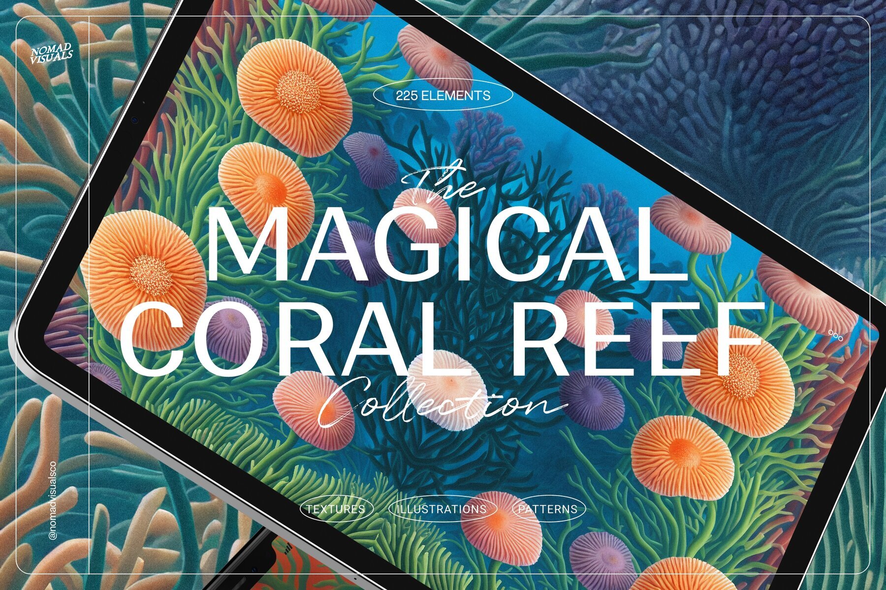 Magical Coral Reef 1