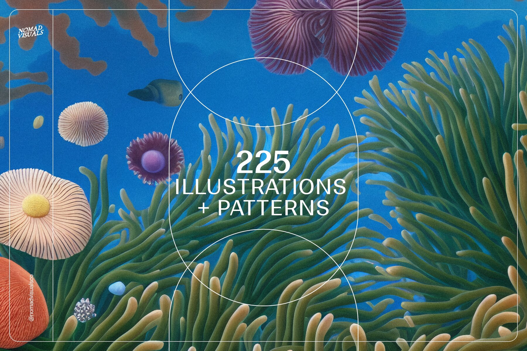 Magical Coral Reef 9