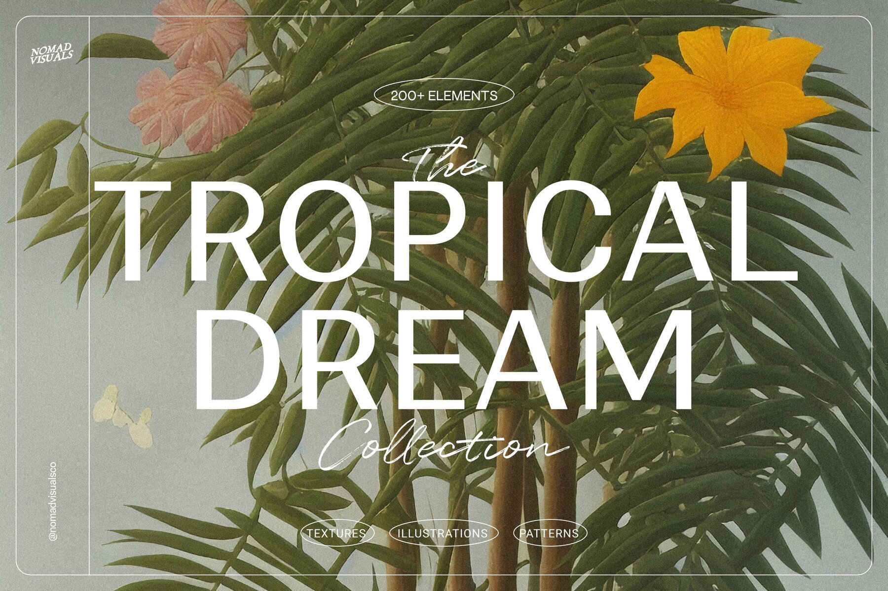 Tropical Dream 1