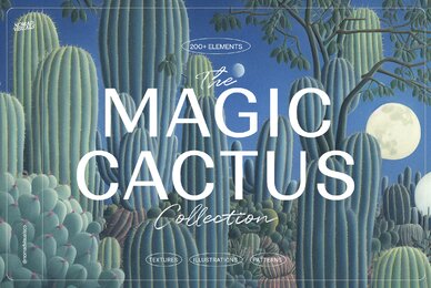 Magic Cactus