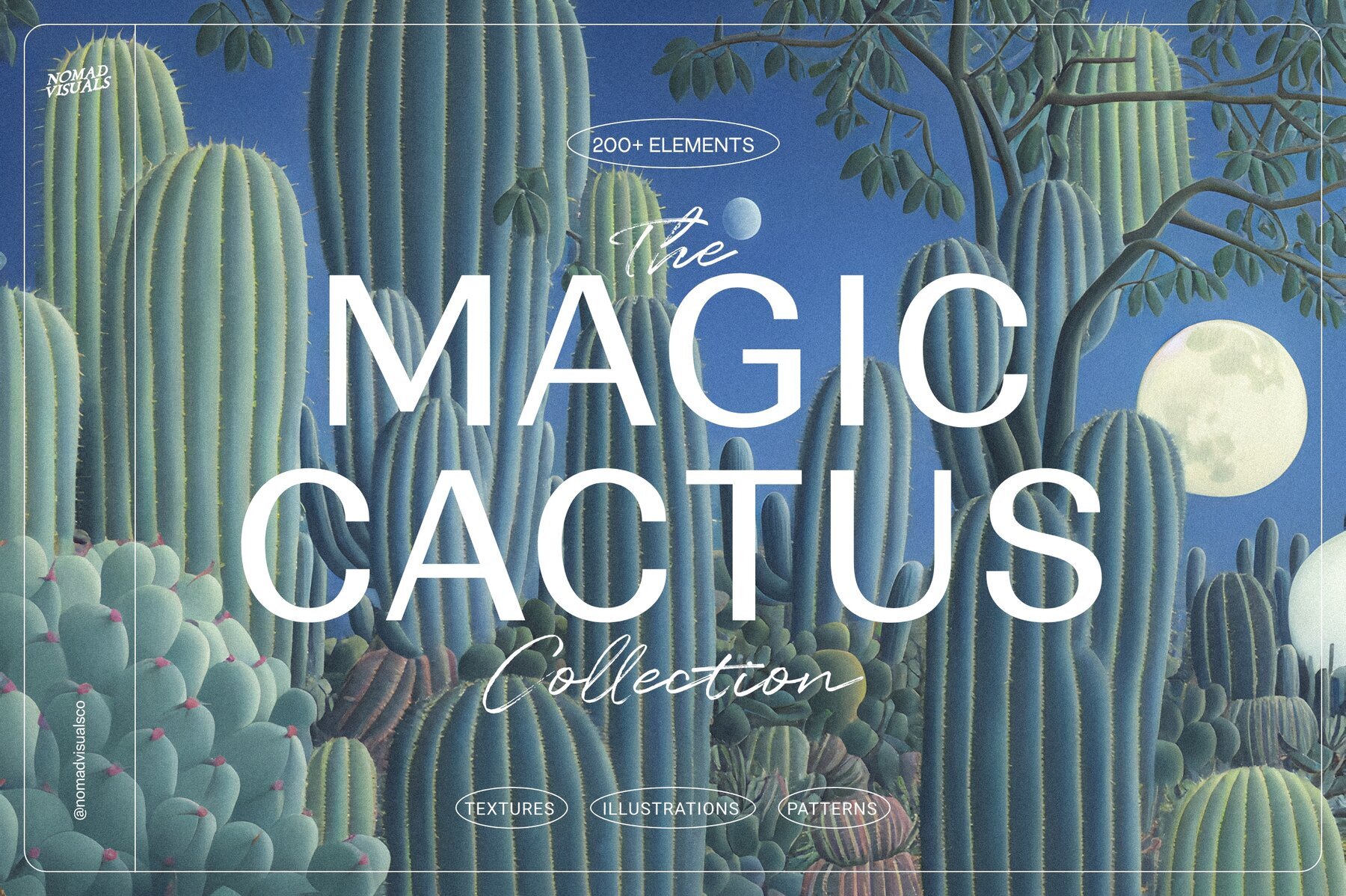 Magic Cactus 1