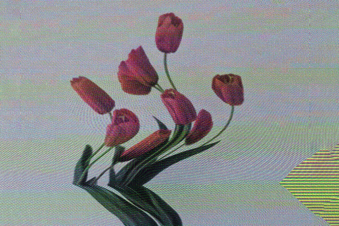 Screen Flicker Photo Effect 8