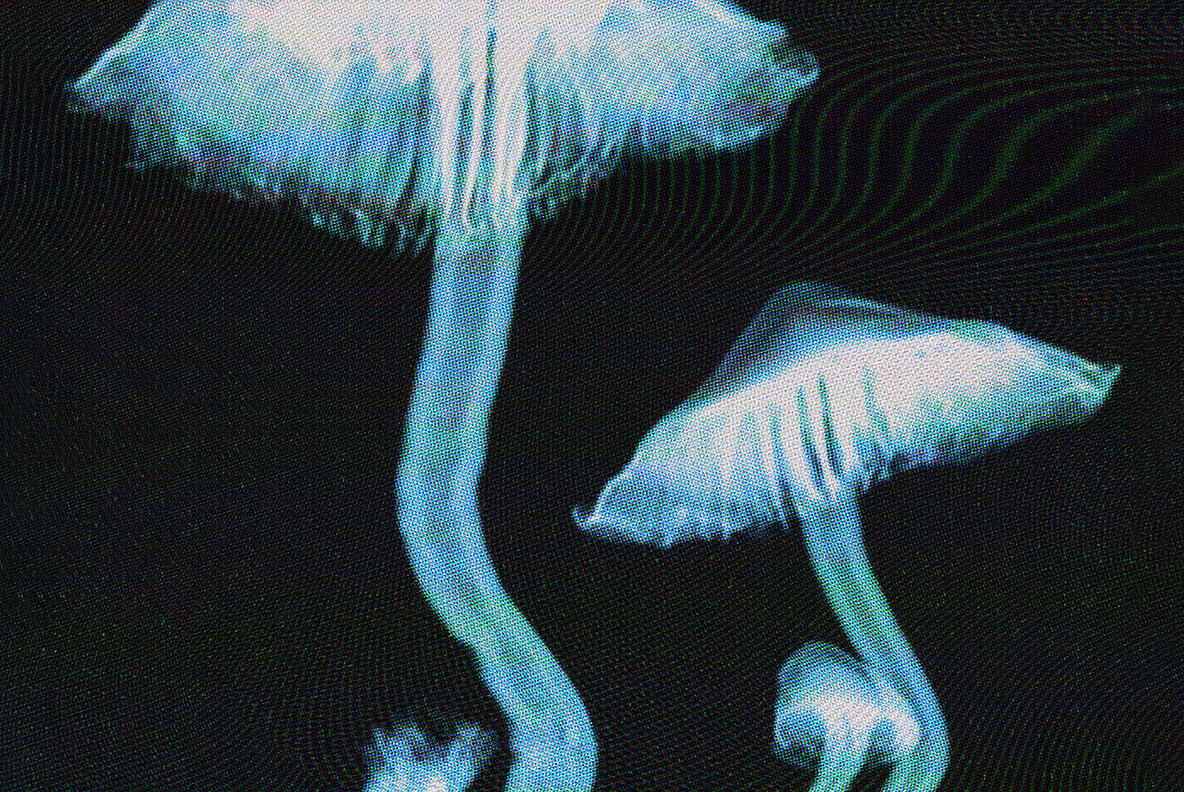 Screen Flicker Photo Effect 10