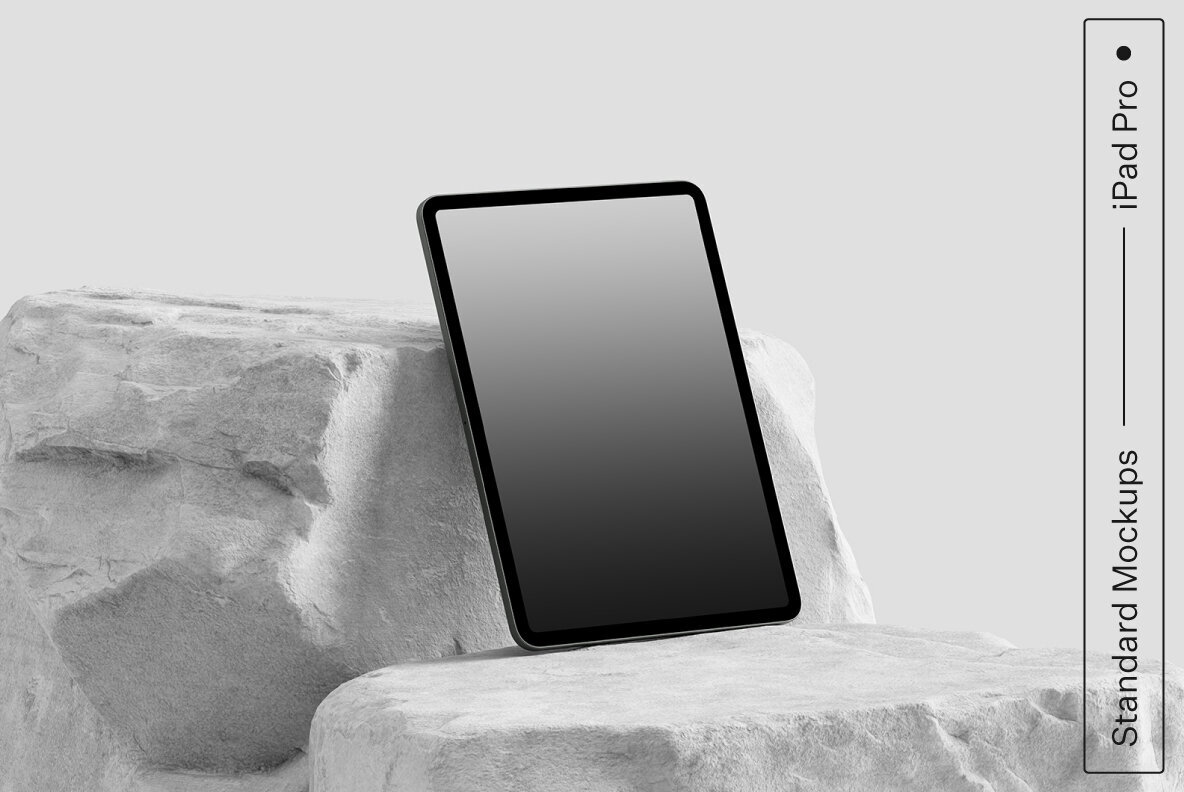 iPad Pro 08 Standard Mockup 1