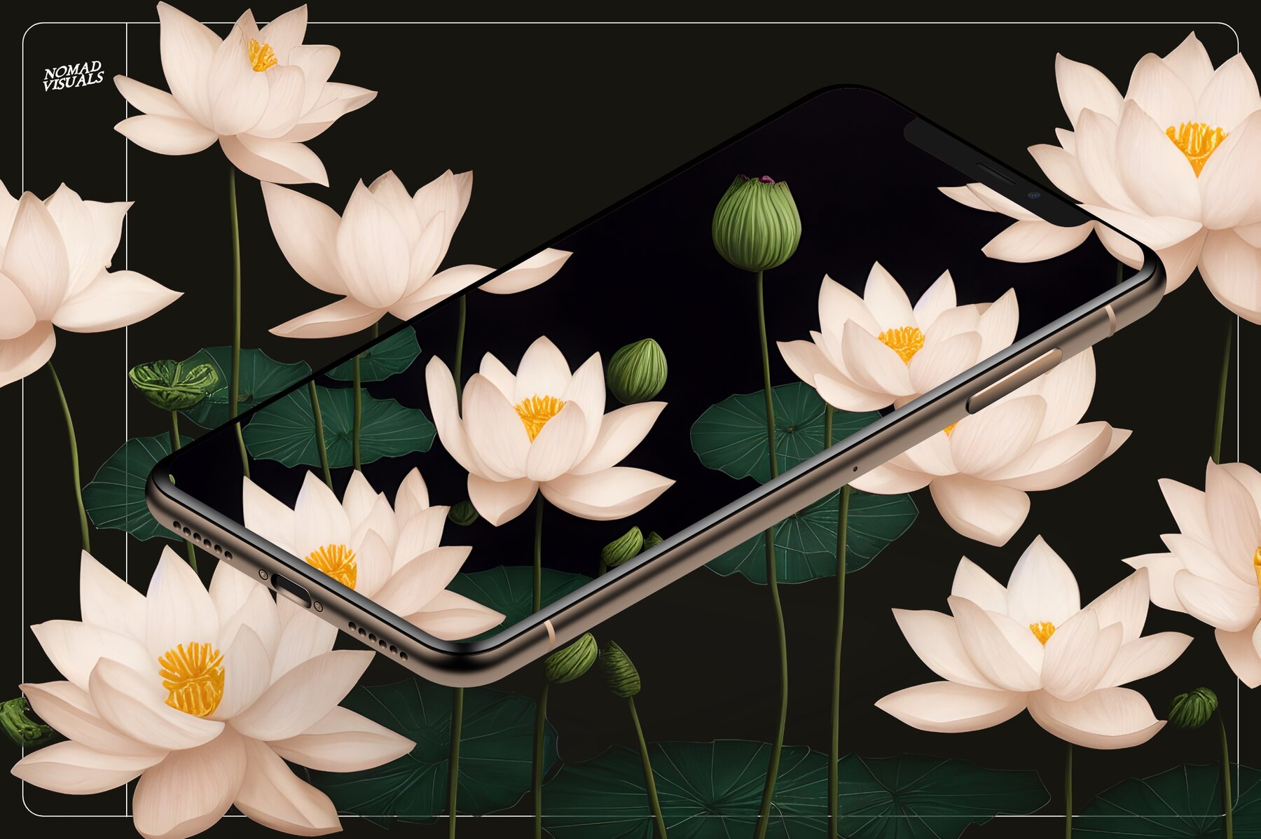 Lotus Flowers 5