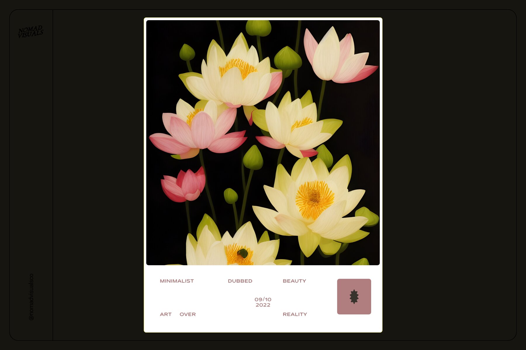 Lotus Flowers 19
