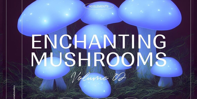 Enchanting Mushrooms Vol 01