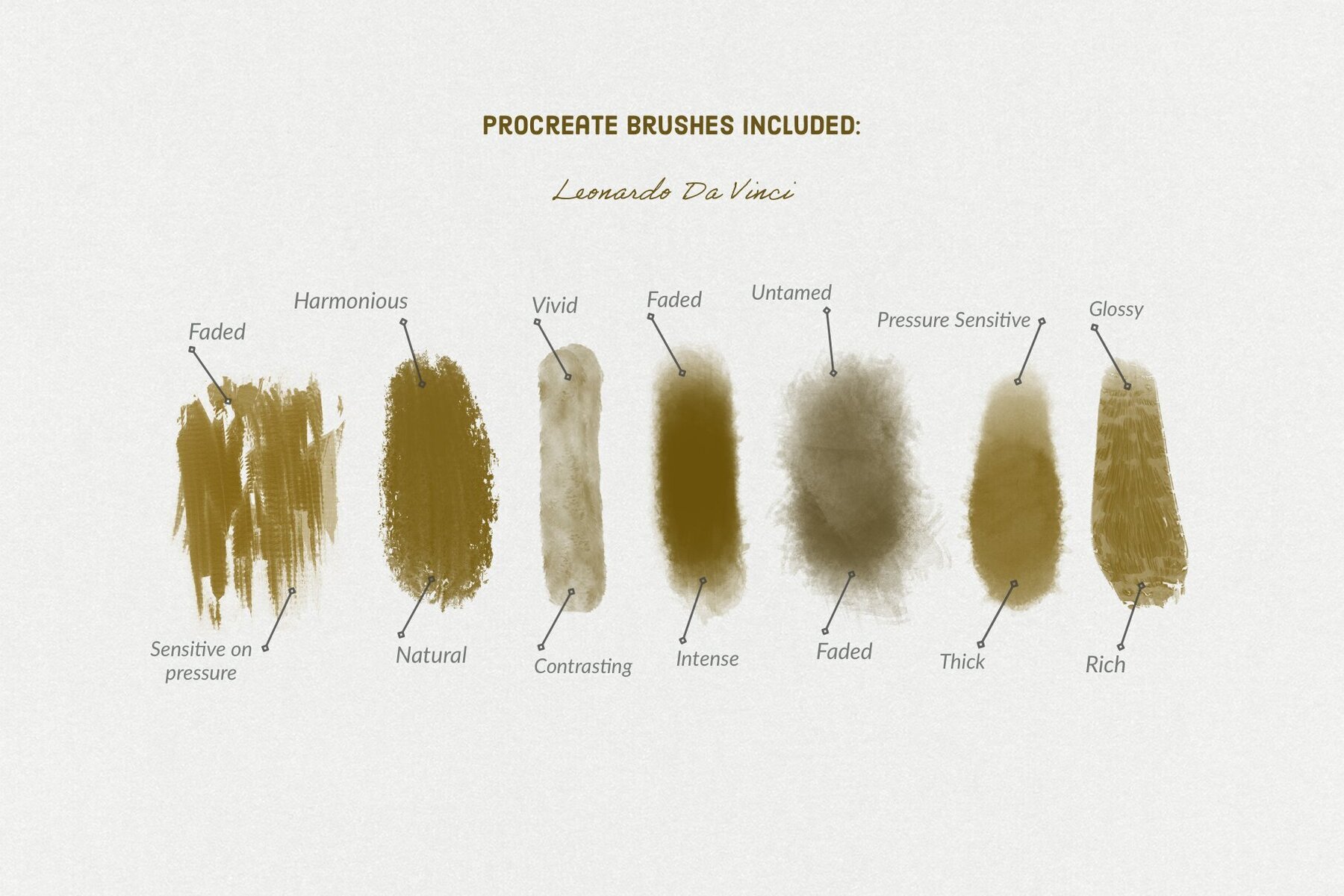 Leonardo Da Vinci Procreate Kit 3