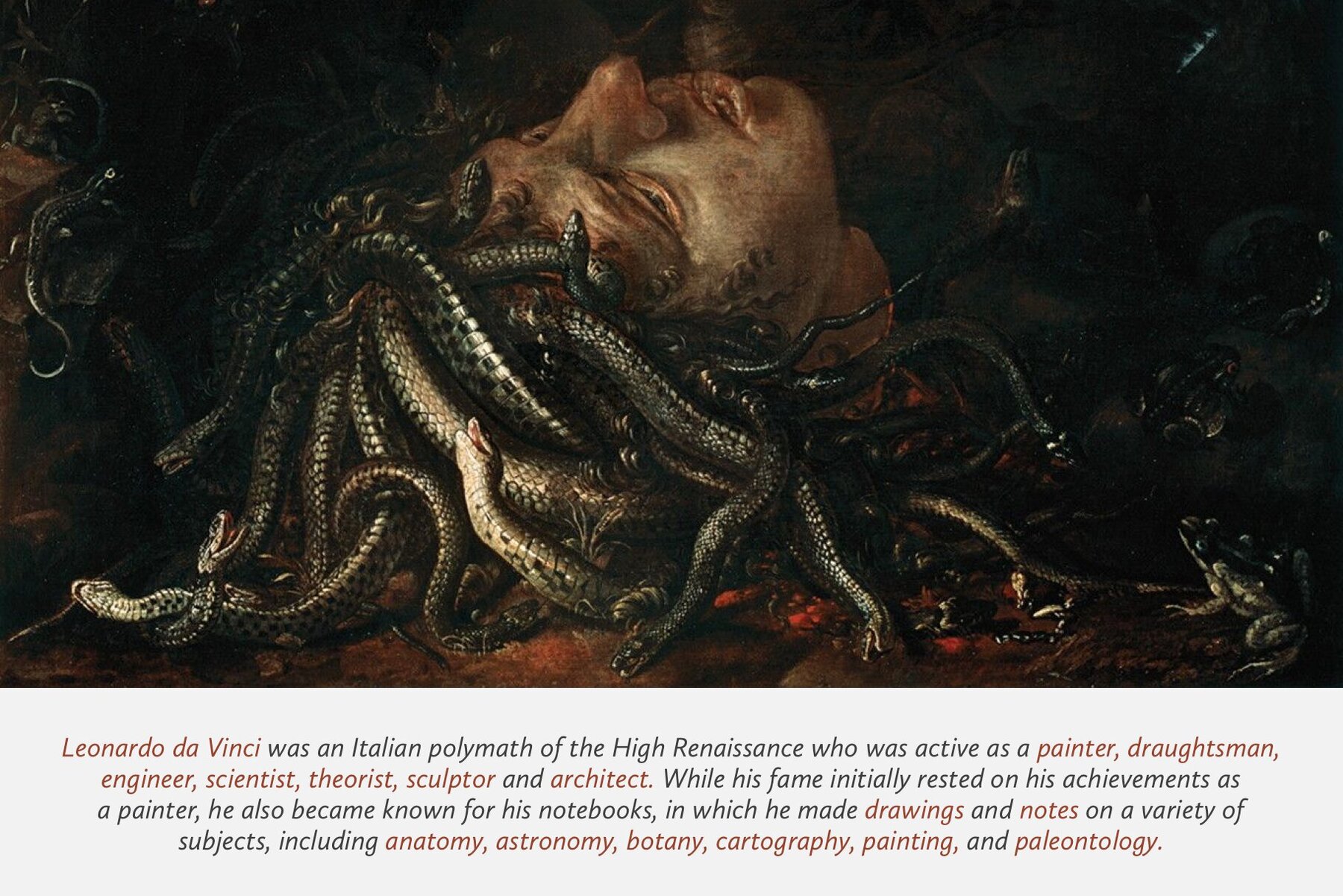 Leonardo Da Vinci Procreate Kit 5