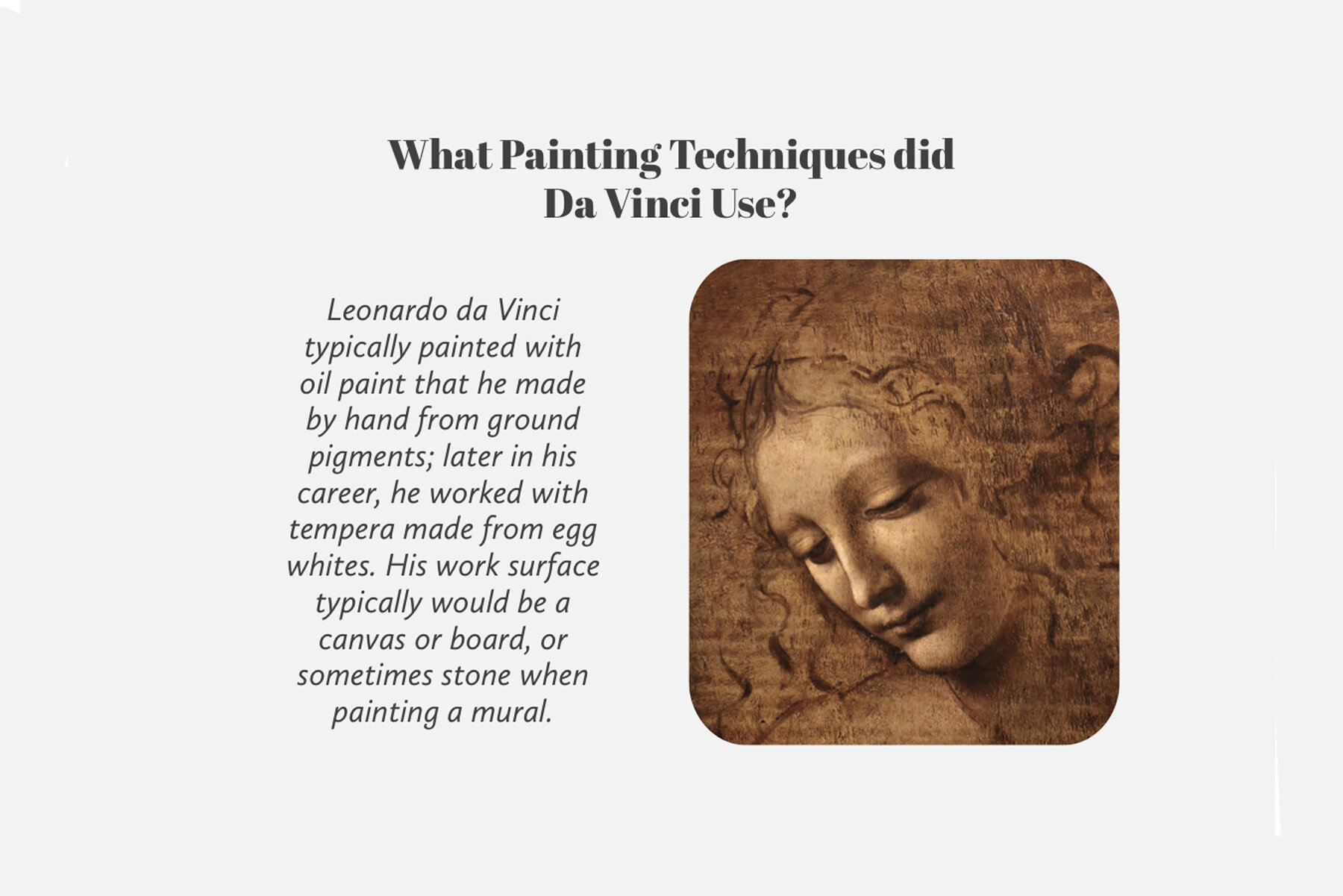 Leonardo Da Vinci Procreate Kit 7