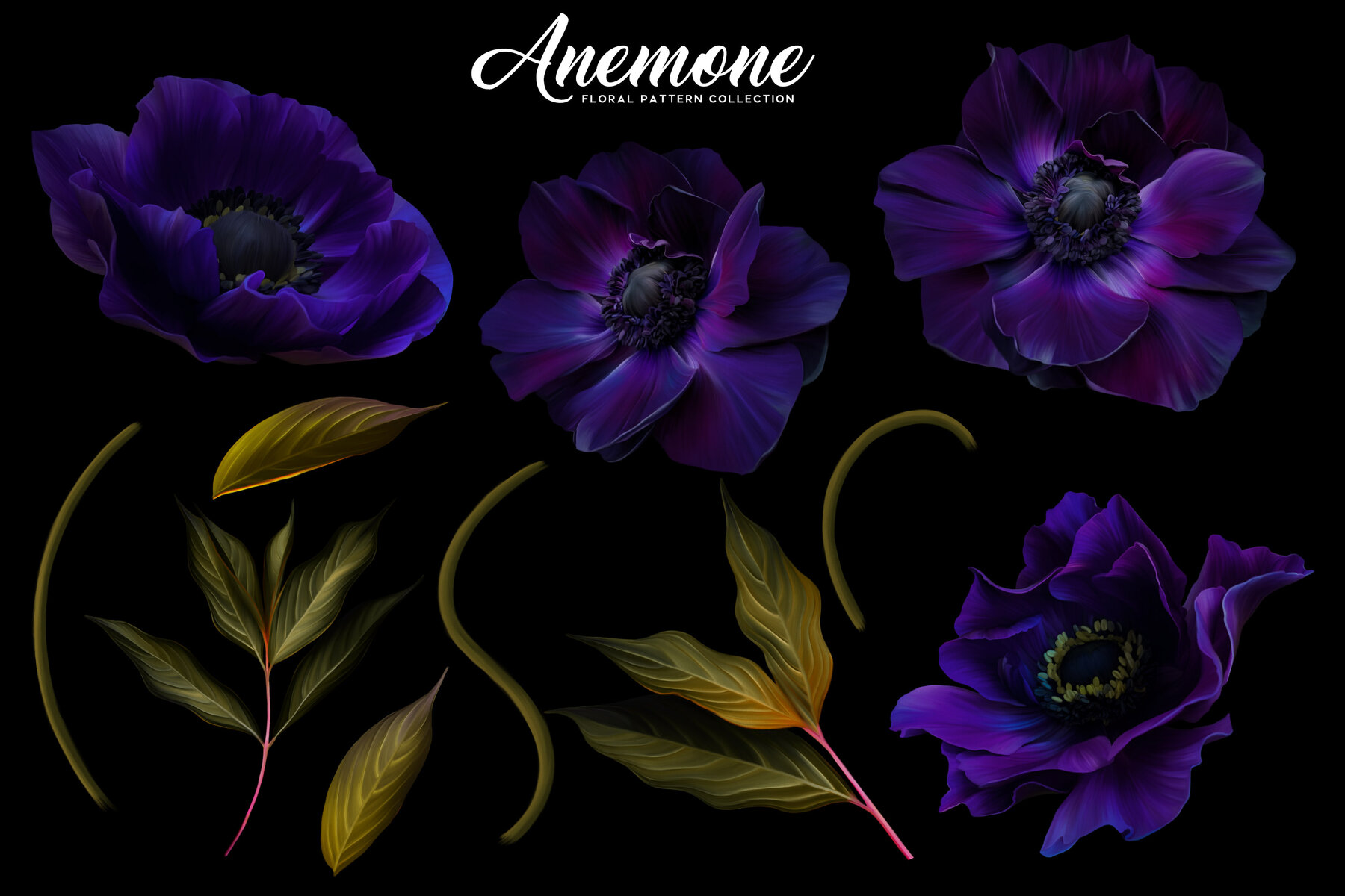 Anemone Floral Pattern Collection 17