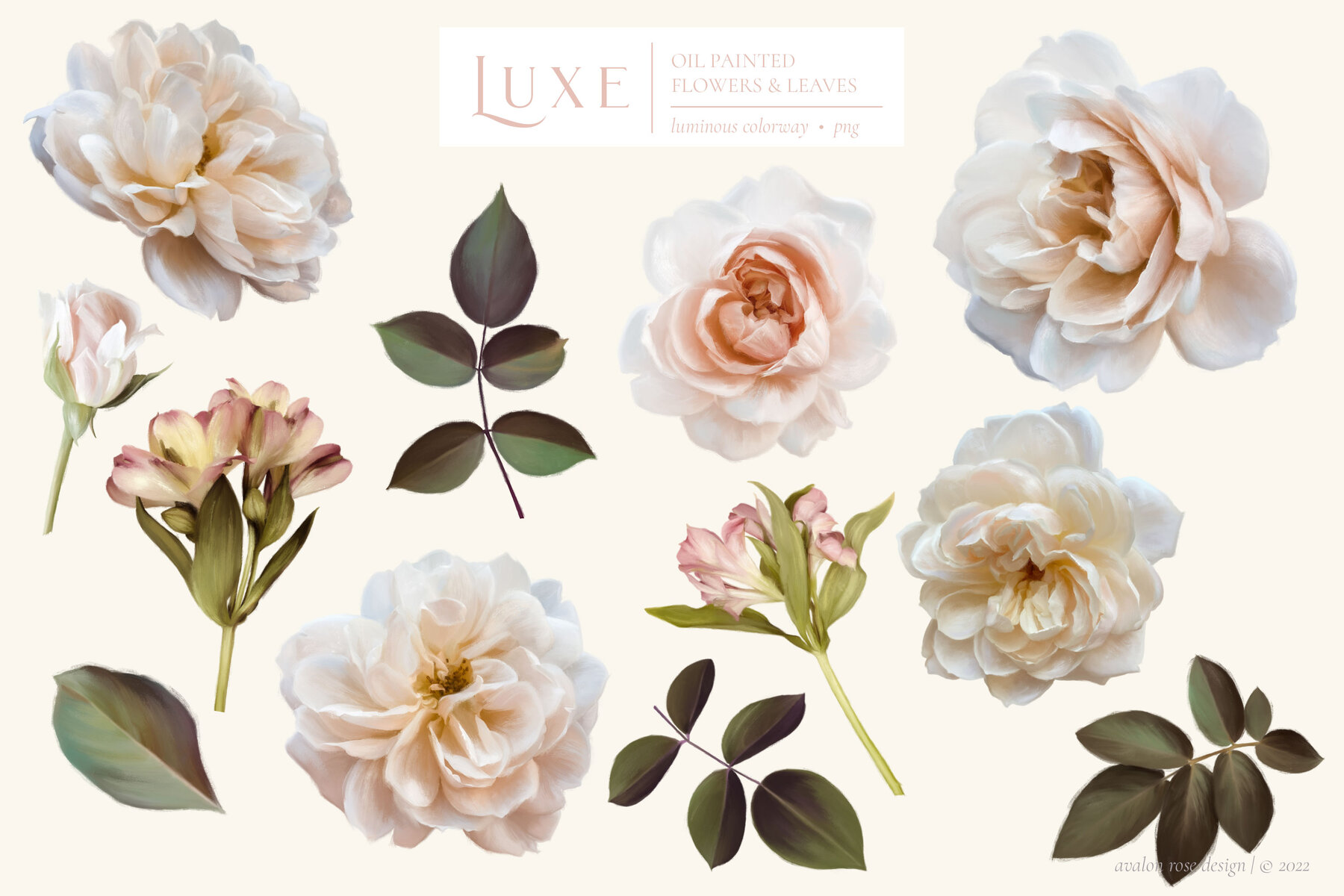 Luxe Oil Paint Floral Graphics 6
