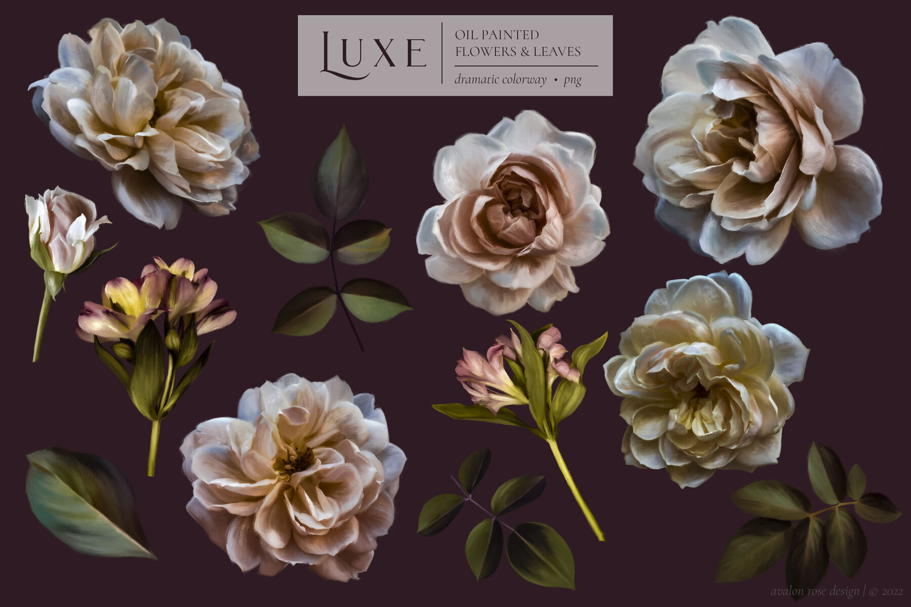 Luxe Oil Paint Floral Graphics 7