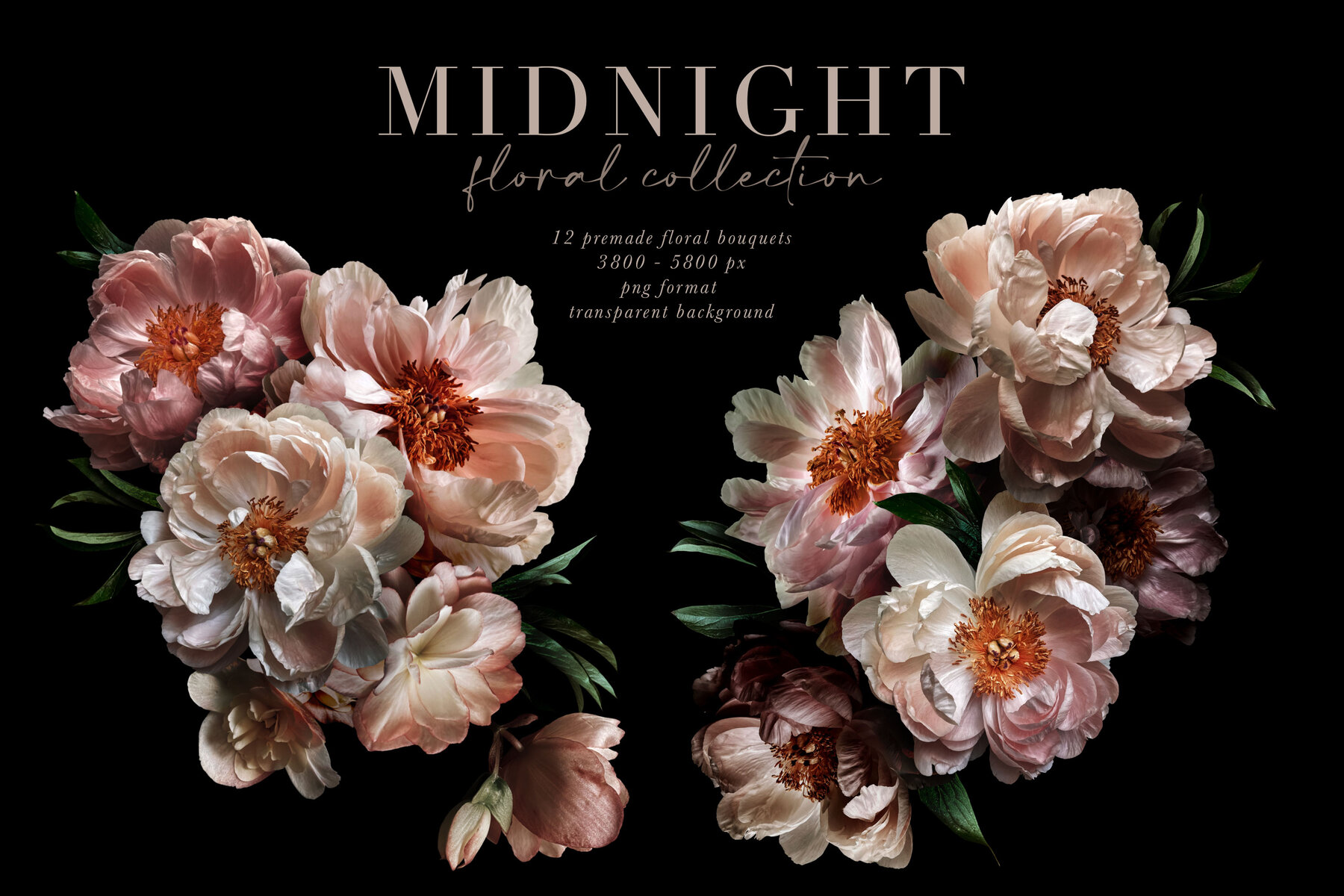 Midnight Peony Graphics Collection 4