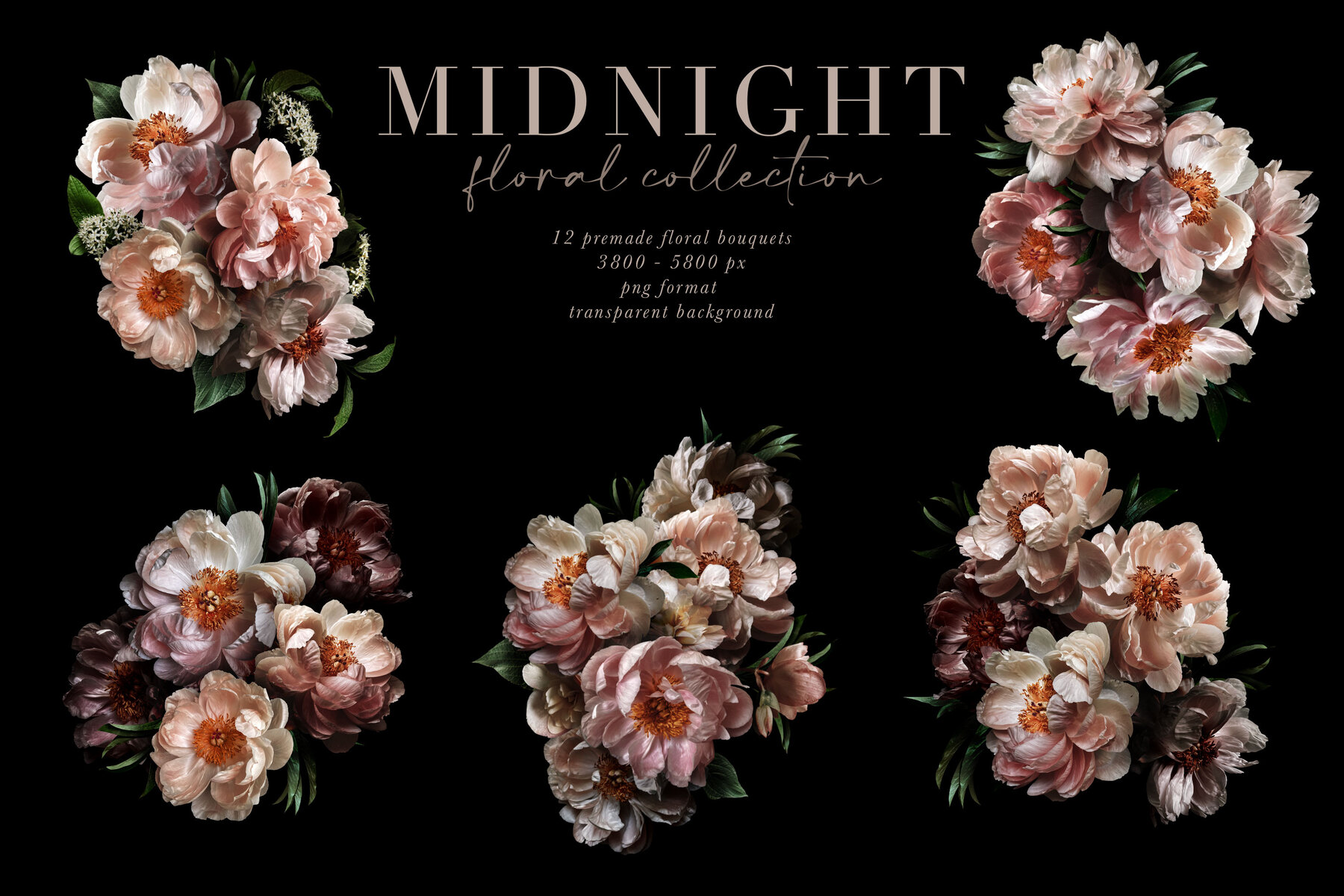 Midnight Peony Graphics Collection 5