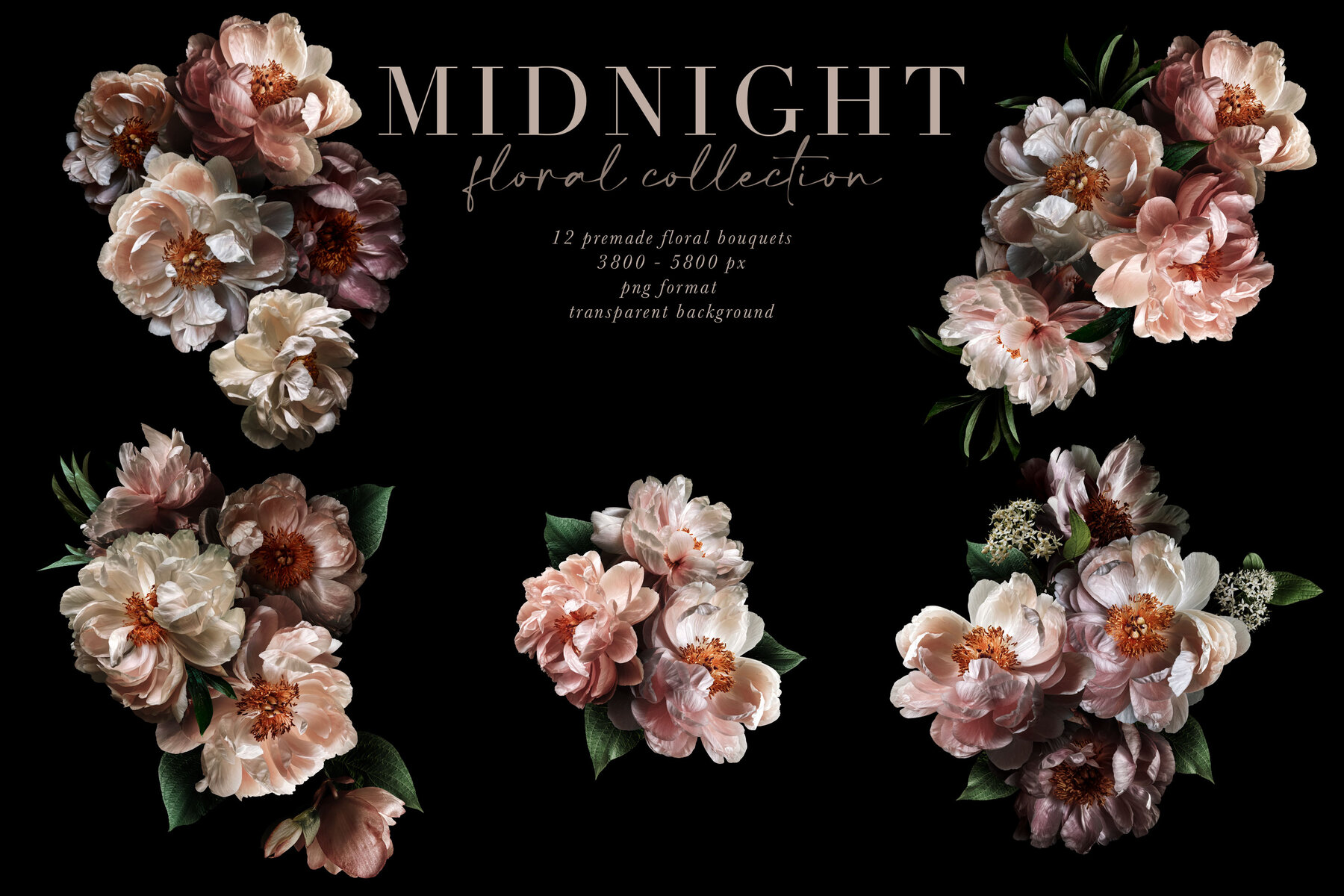Midnight Peony Graphics Collection 6