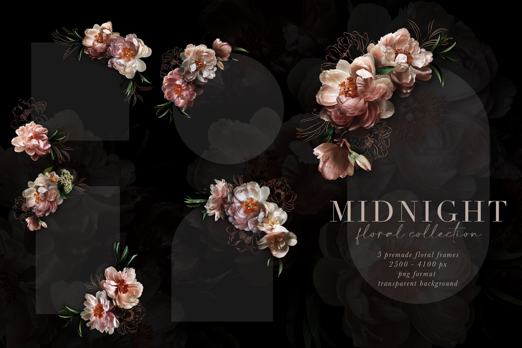 Midnight Peony Graphics Collection 7