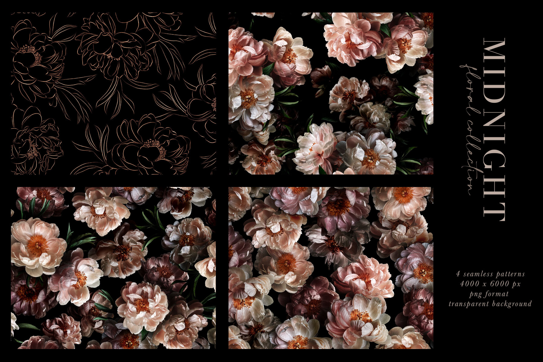 Midnight Peony Graphics Collection 10