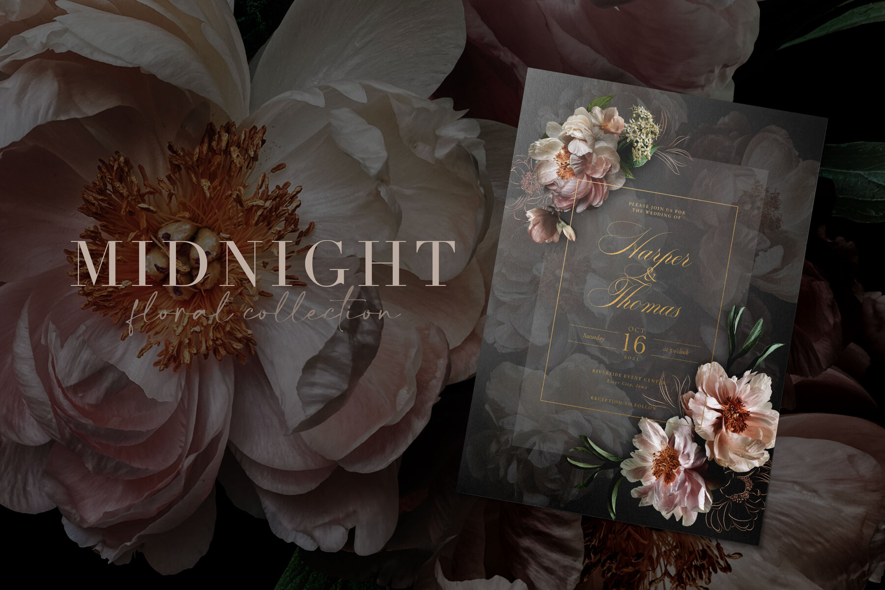 Midnight Peony Graphics Collection 12