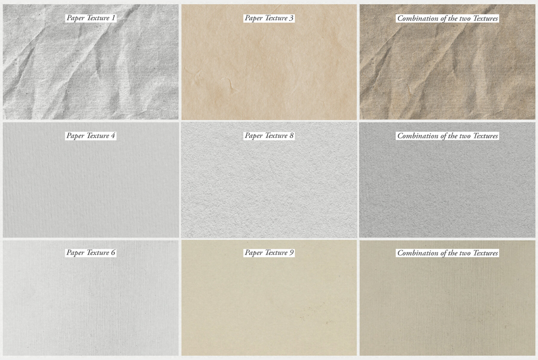 Terpsichore Procreate Kit 5