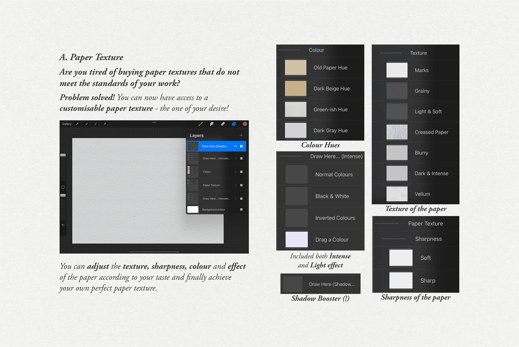 Thalia Procreate Kit 3