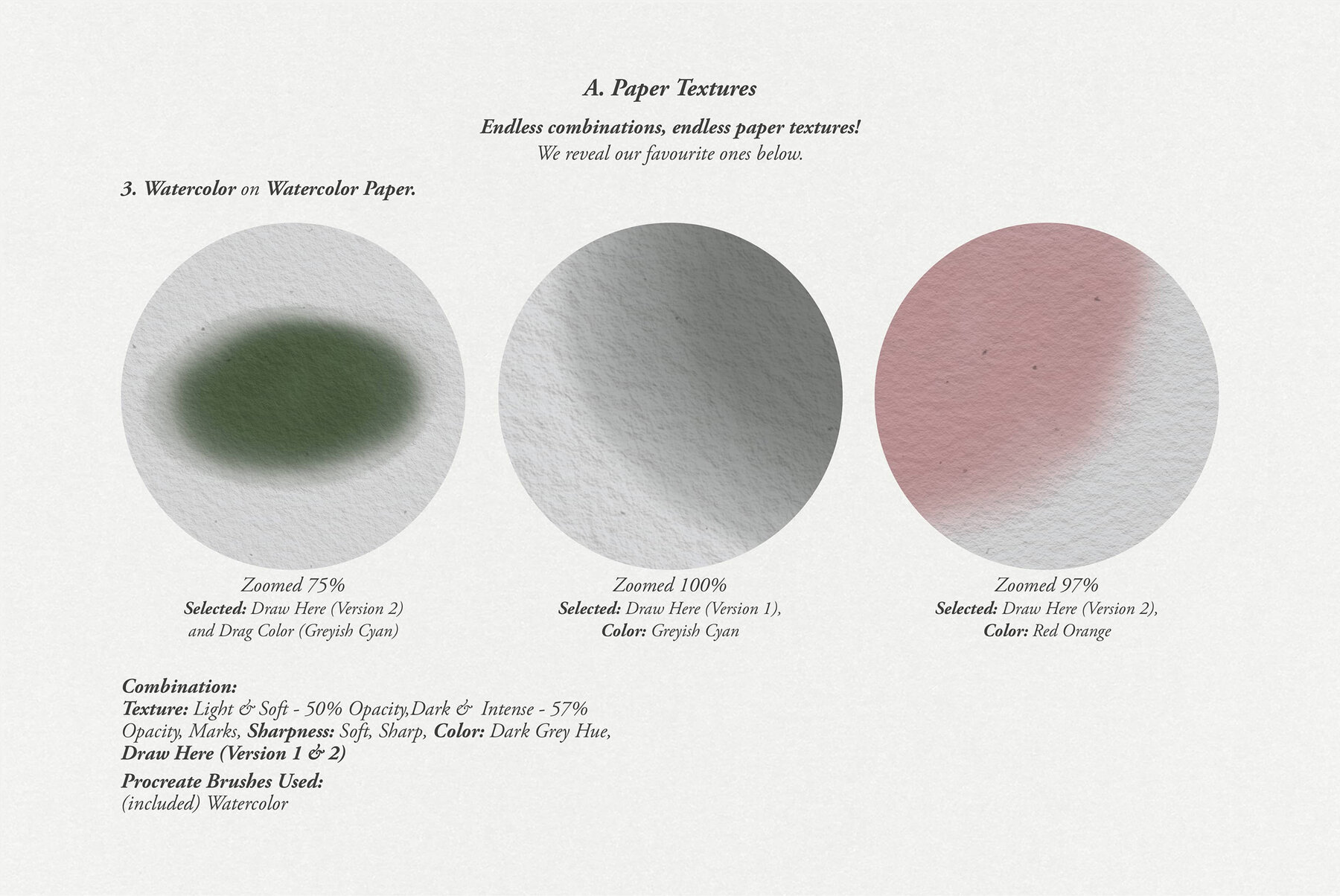 Thalia Procreate Kit 6