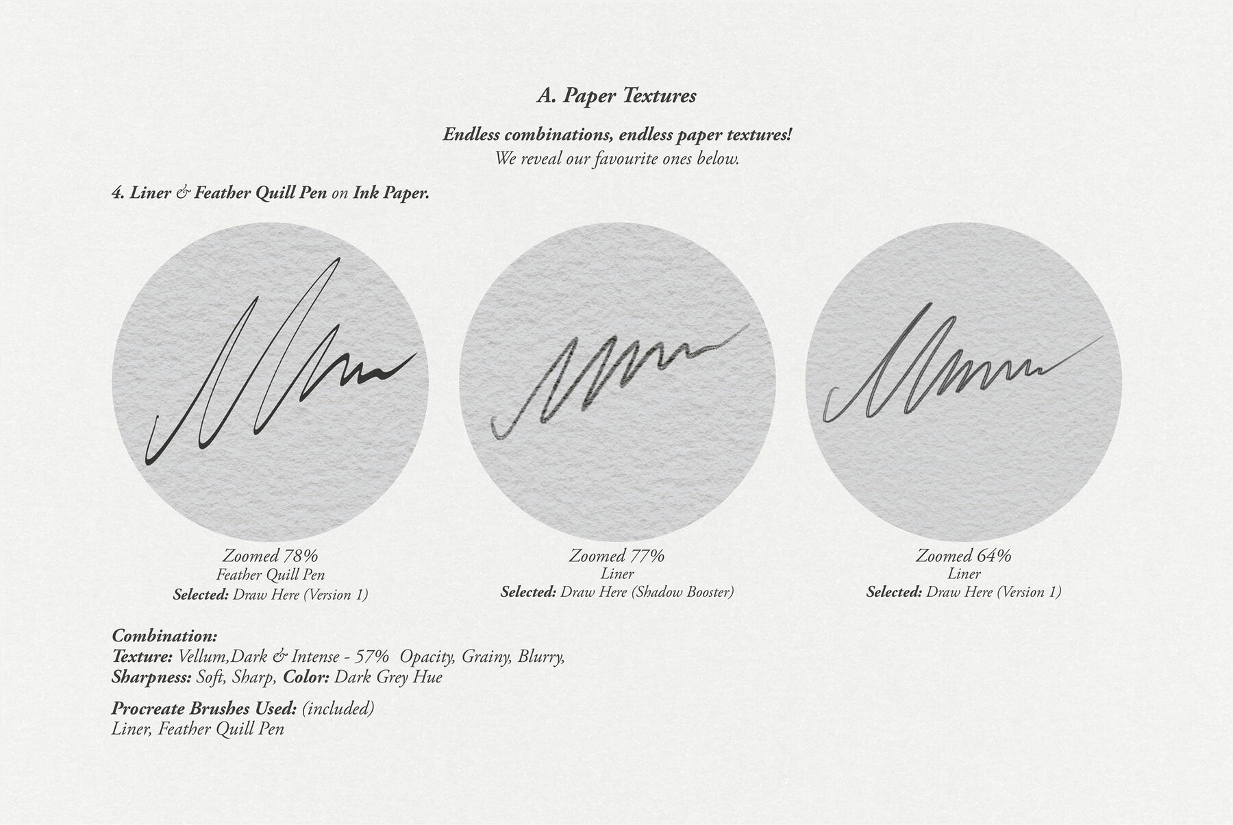 Thalia Procreate Kit 7