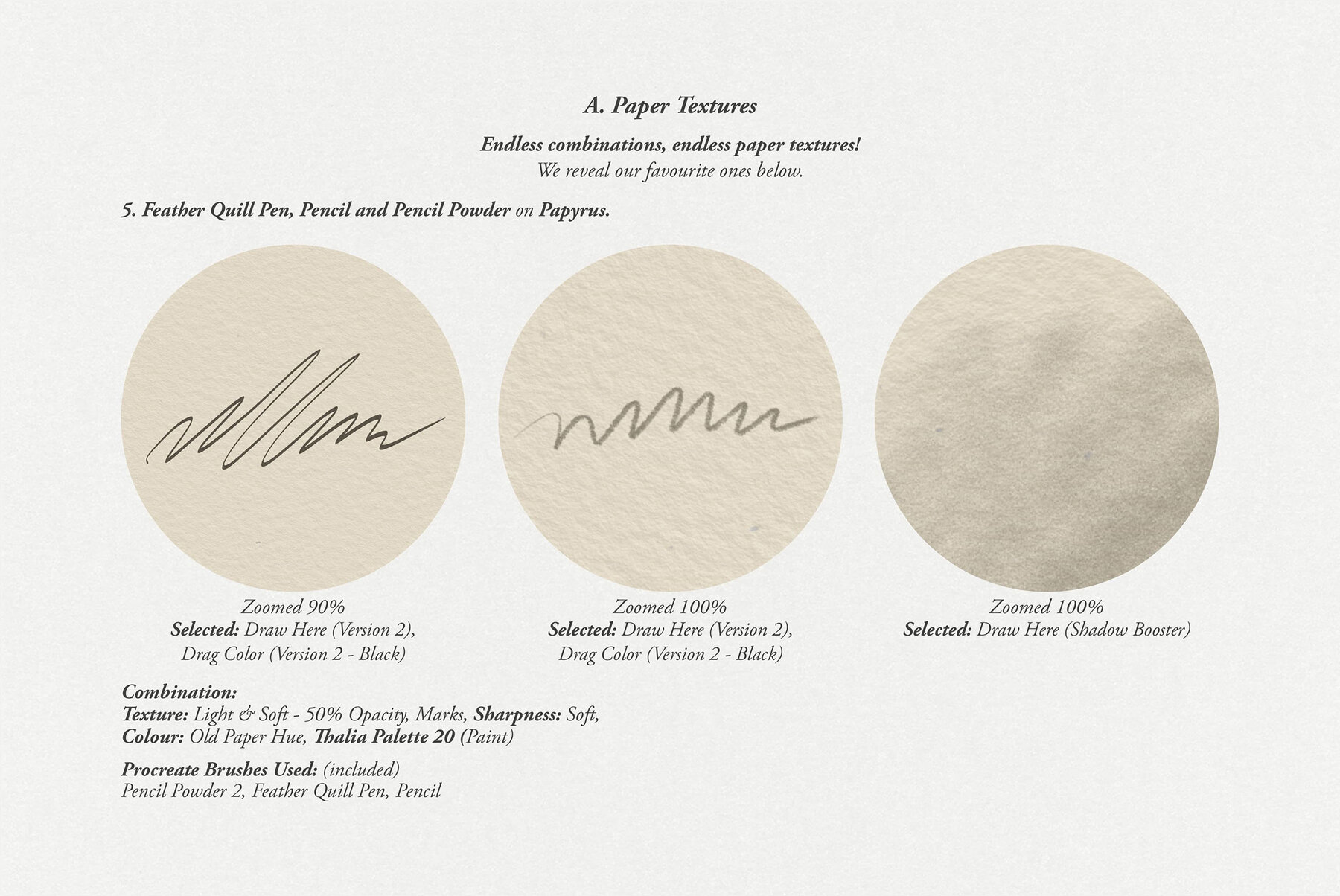 Thalia Procreate Kit 8