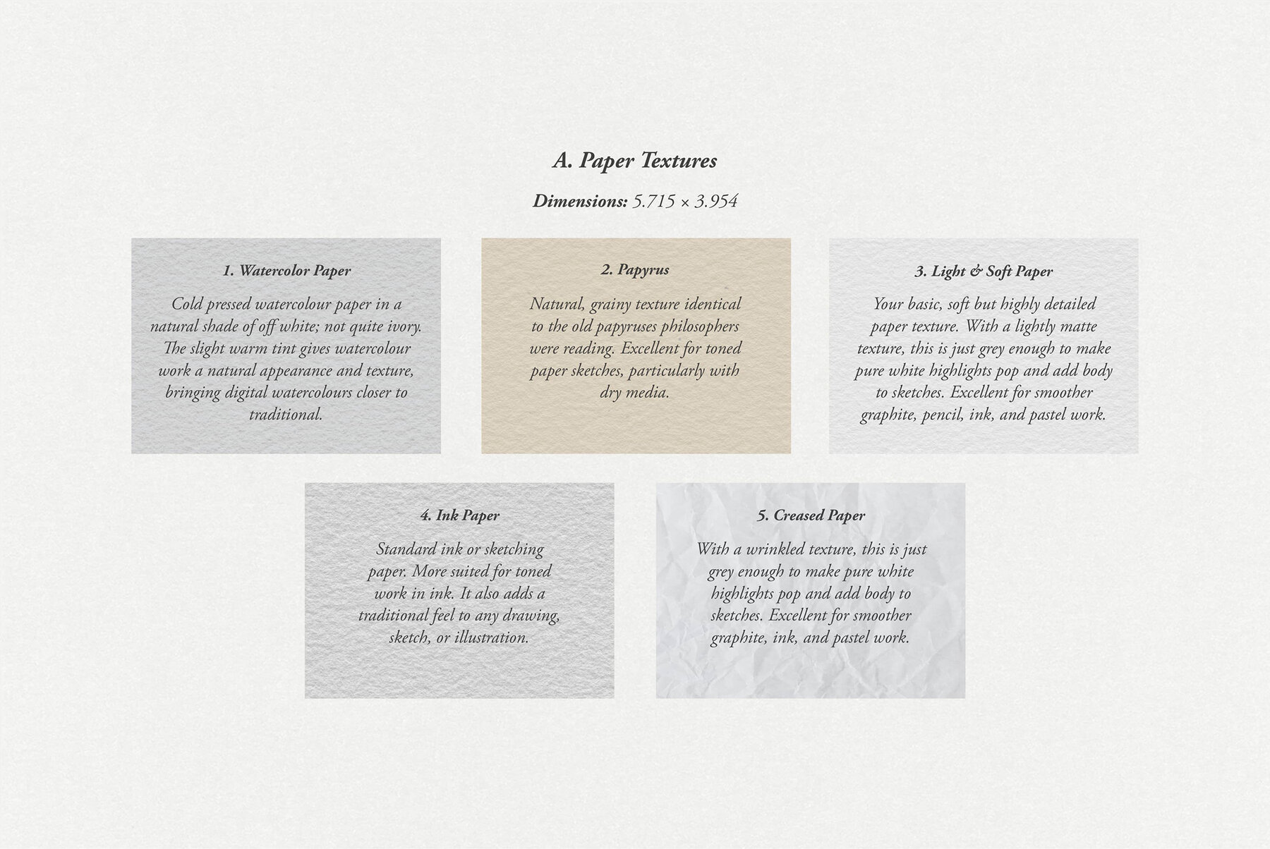 Thalia Procreate Kit 9