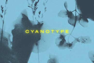 Floral Cyanotype