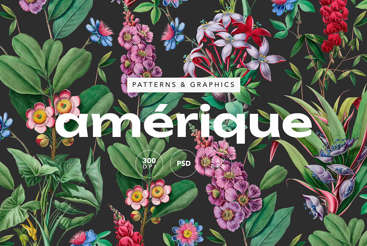 Elegant Botanical Pattern   Flowers 1