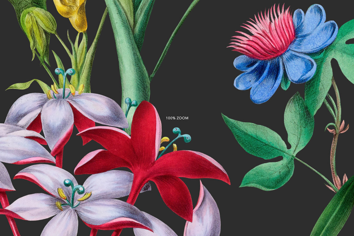 Elegant Botanical Pattern   Flowers 3