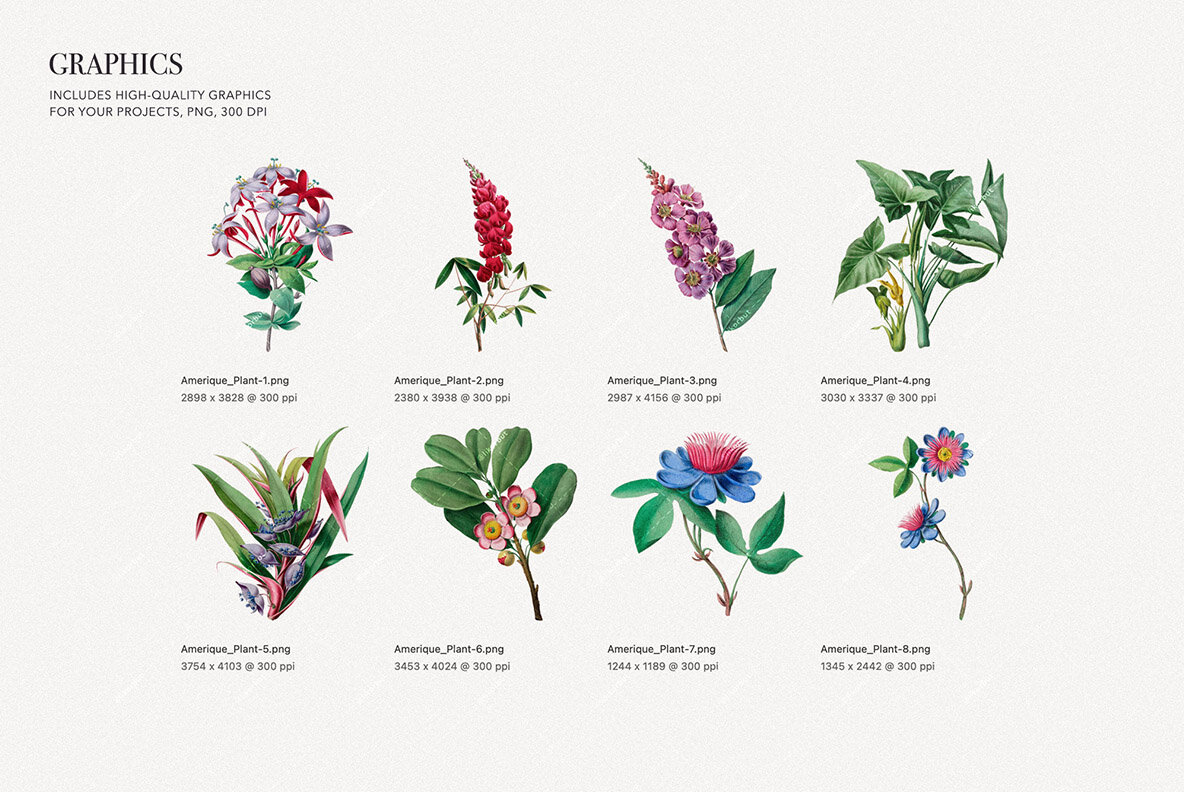 Elegant Botanical Pattern   Flowers 12