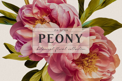 Peony Botanical Floral Collection