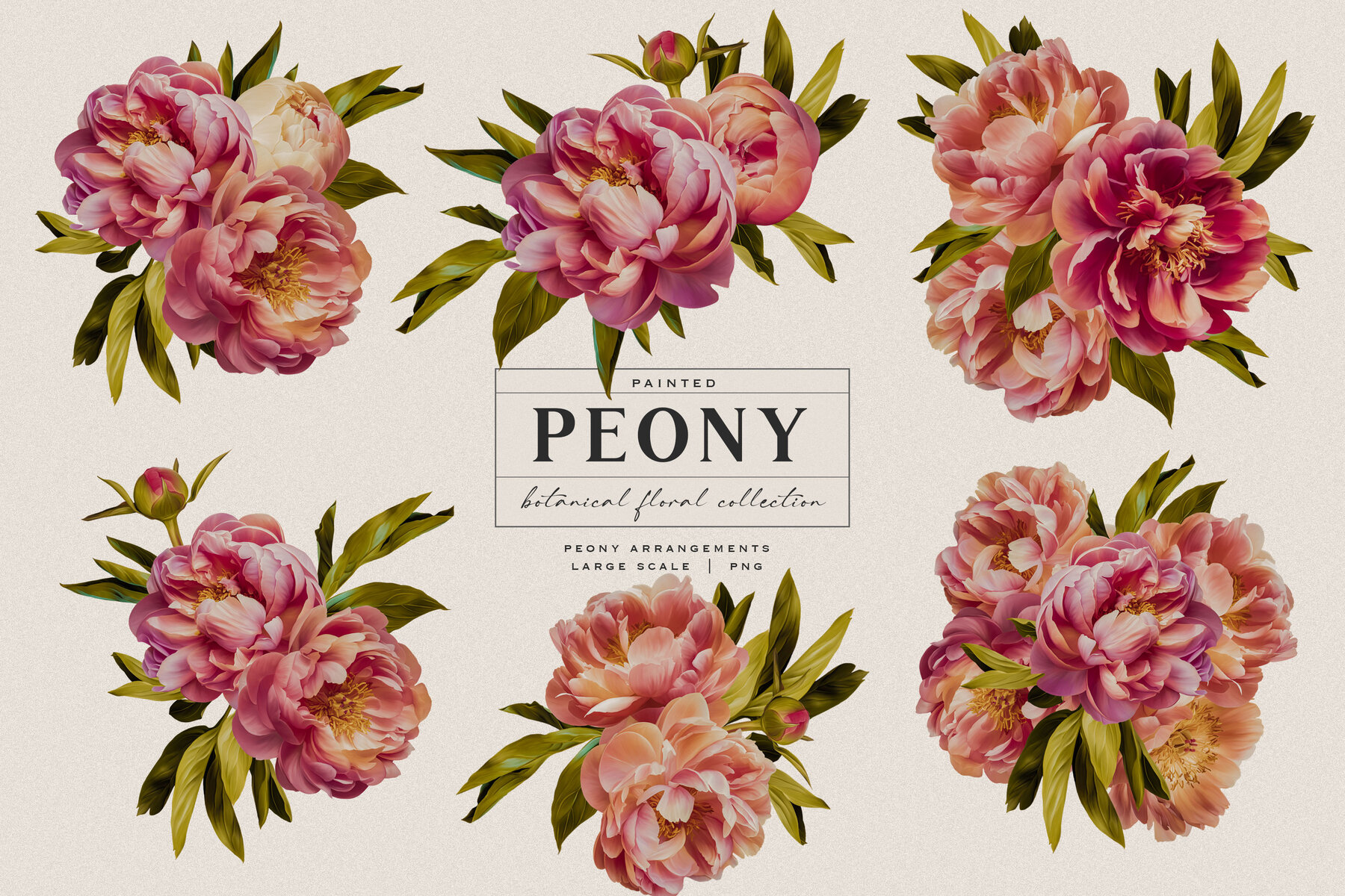 Peony Botanical Floral Collection 4