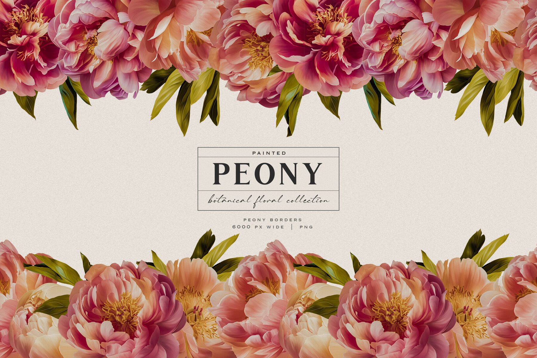 Peony Botanical Floral Collection 9