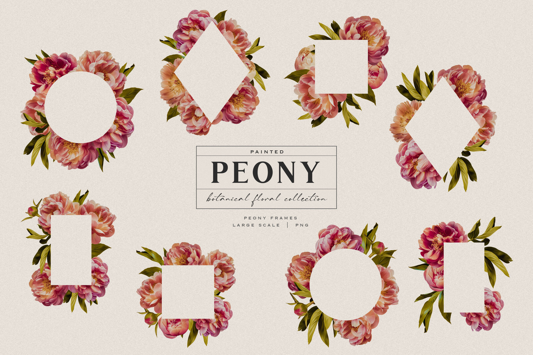 Peony Botanical Floral Collection 10