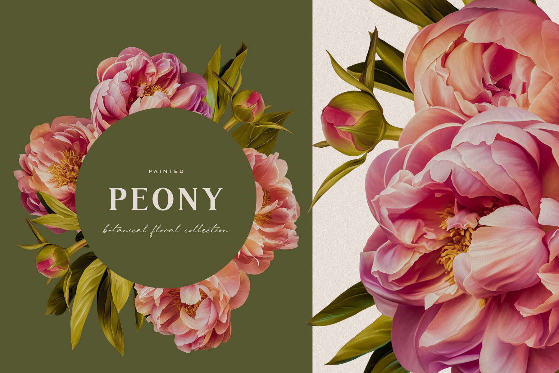 Peony Botanical Floral Collection 11